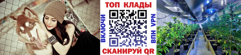 Наркота Киселёвск Канабис  КОКАИН  Гашиш  СК  Меф мяу мяу 