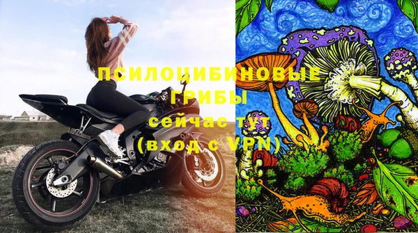 PSILOCYBIN Алексин