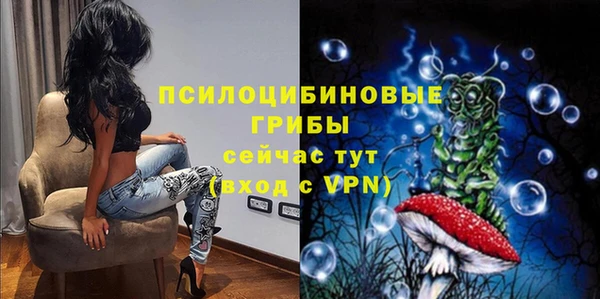 ешки Алексеевка