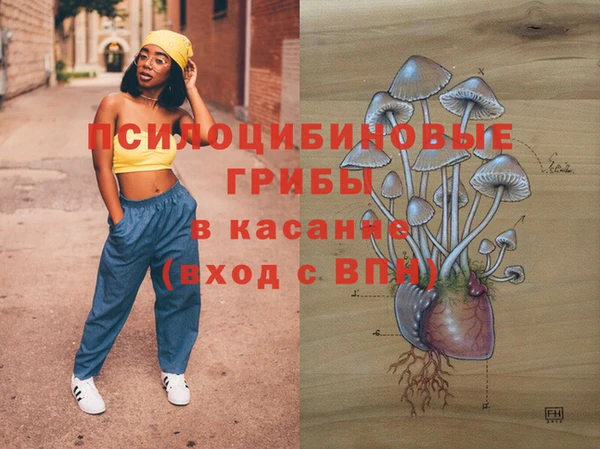 PSILOCYBIN Алексин