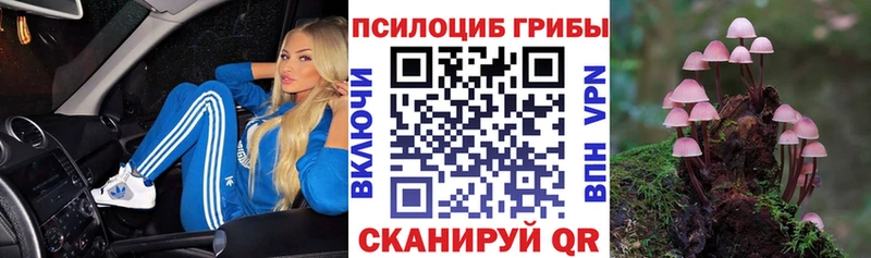 Псилоцибиновые грибы MAGIC MUSHROOMS  Киселёвск 